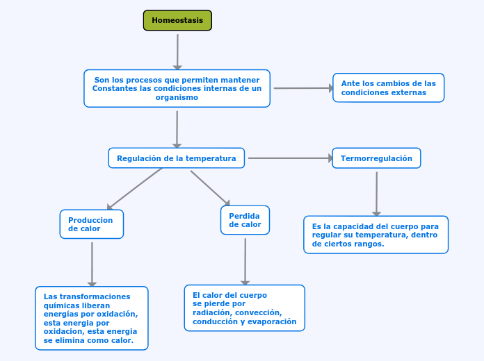 Homeostasis Mind Map Homeostasis Mind Map